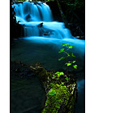   Wasserfall, Moos