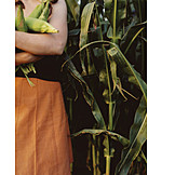   Maize field, Farmer