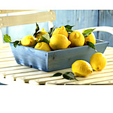   Citrus fruit, Mediterran, Lemon