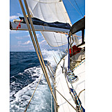   Water Sport, Sailboat, Sailing, Yacht
