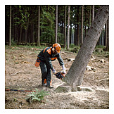   Waldarbeiter, Baumfällen