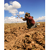   Field work, South america, Potato harvest