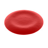   Illustration, Rote Blutkörperchen, Hämoglobin