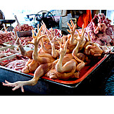   Poultry, Market