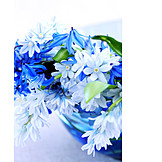   Blüte, Blumenstrauß, Blaustern