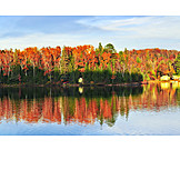   Lake, Autumn Forest, Autumn Landscape