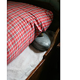   Rural scene, Bed, Warming bag