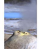   Geysir, Wasserdampf