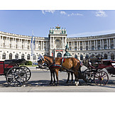   Horse Carriage, Fiaker, Vienna Hofburg