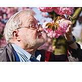   Senior, Cherry Blossom, Smelling