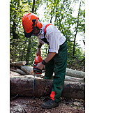   Timber industry, Sawing, Forest work, Forester