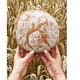   Landwirtschaft, Brot, Brotlaib, Grundnahrungsmittel