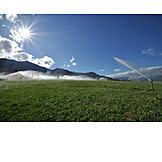   Landwirtschaft, Bewässerung, Bewässerungssystem