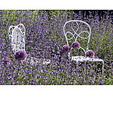   Garden chair, Lavender