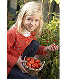   Girl, Pick, Tomato harvest