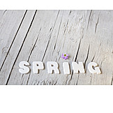   Frühling, Wort, Spring