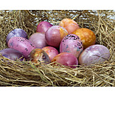   Easter, Easter Nest, Easter Eggs