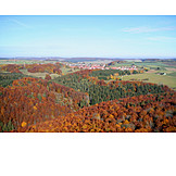   Autumn, Autumn, Mixed Forest, Zainingen