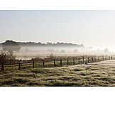   Landscape, Fog, Morning mood