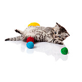   Fun & Games, Kittens, Ball Of Wool