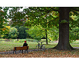   Park, Herbst