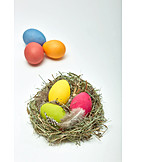   Easter, Easter Egg, Easter Nest