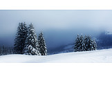   Winterlandschaft, Nebel, Berner Oberland