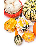   Ornamental gourd