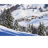   Winter, Alp