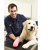   Paw, Dog, Injury, Golden retriever, Veterinarian