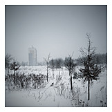   Landschaft, Winter, Tristesse