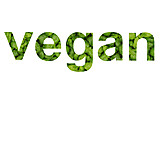  Vegetable, Vegan