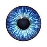   Auge, Blaue augen, Iris