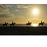   Horses, Sardinia, Riding vacation