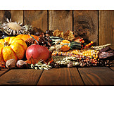   Autumn, Thanksgiving, Harvest