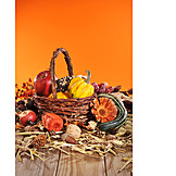   Harvest Festival, Thanksgiving, Autumn Decoration