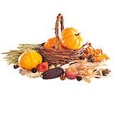   Still Life, Pumpkin, Thanksgiving, Autumn Decoration