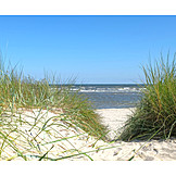   Sea, Sandy, Marram Grass