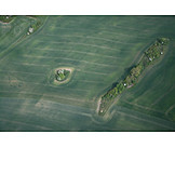   Field, Aerial View, Green Area