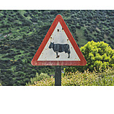   Traffic Sign, Animals, Cattle Drive