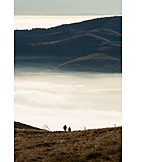   Fog, Morning, Storm, Cloud, Vosges