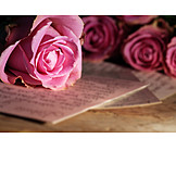   Love letter, Letters, Rose bouquet