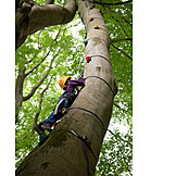   Sports & Fitness, Tree, Climbing
