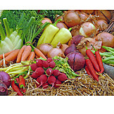   Vegetable, Thanksgiving, Harvest