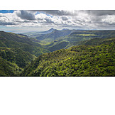   National Park, Rainforest, Mauritius, Black River Georges National Park