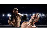   Boxer, Boxkampf, Knockout