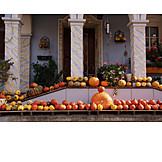   Pumpkin, Thanksgiving