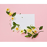   Valentinstag, Blumenmuster, Liebesbrief, Floristik, Blumendekoration