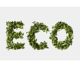   Ecologically, Ecology, Eco