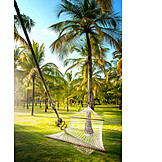   Relaxation & Recreation, Relaxing, Vacation, Palm, Hammock